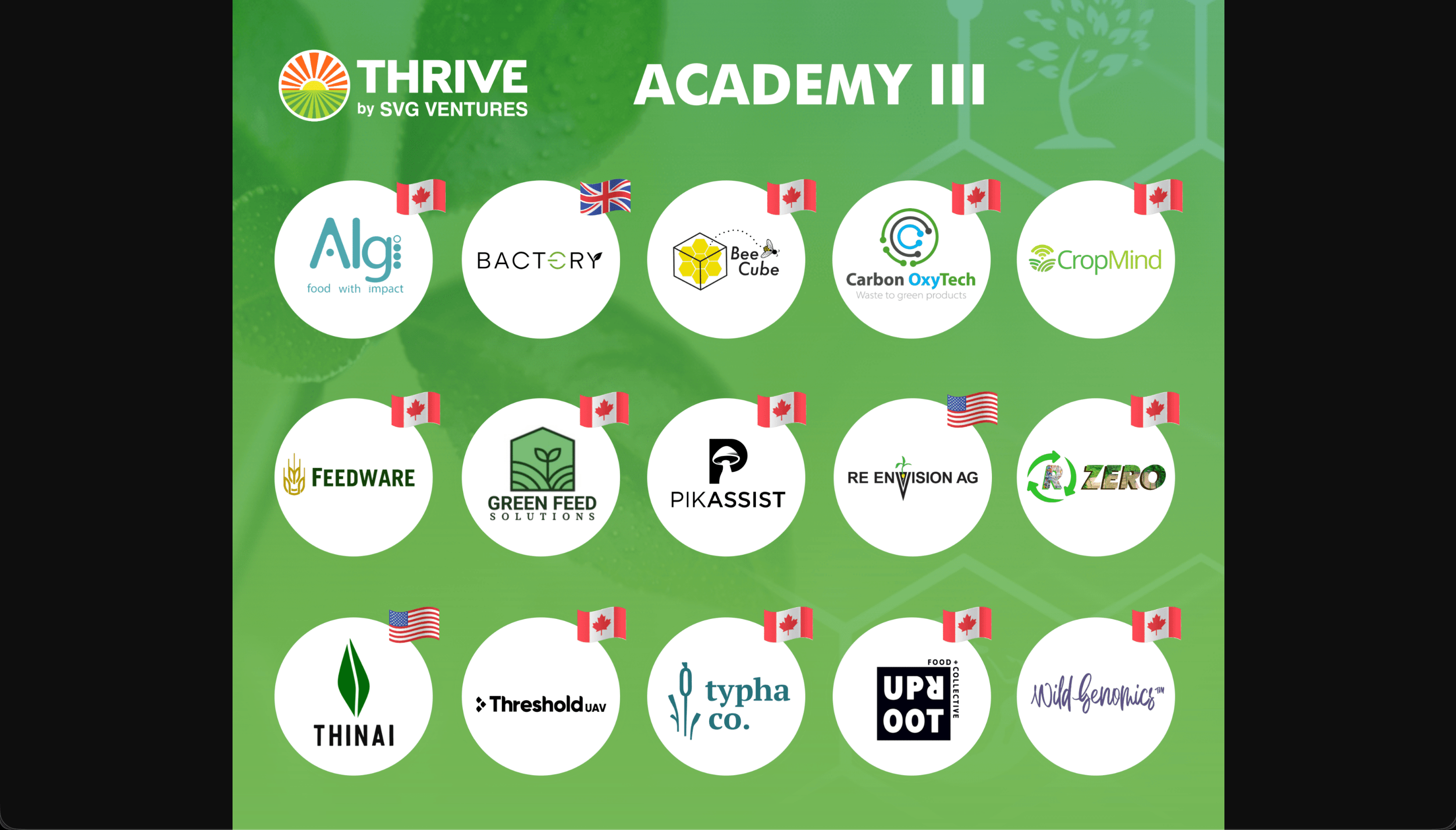 Thinai Gallery - Academy Announcement